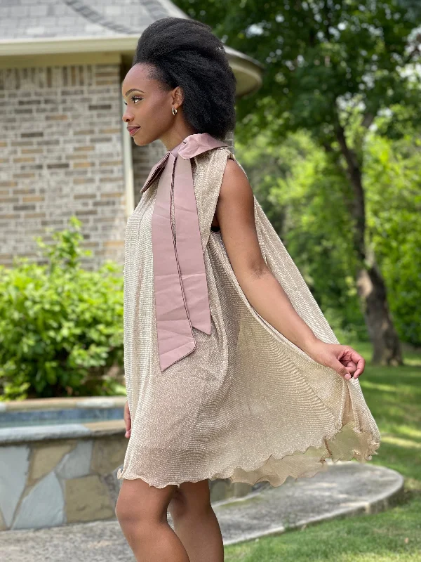 Embroidered Silk Bow Chiffon Dress